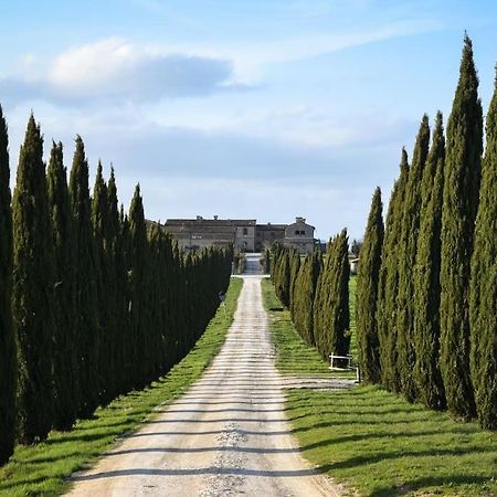 Cozy Home In Countryside Asciano Siena -Renovated! Extérieur photo