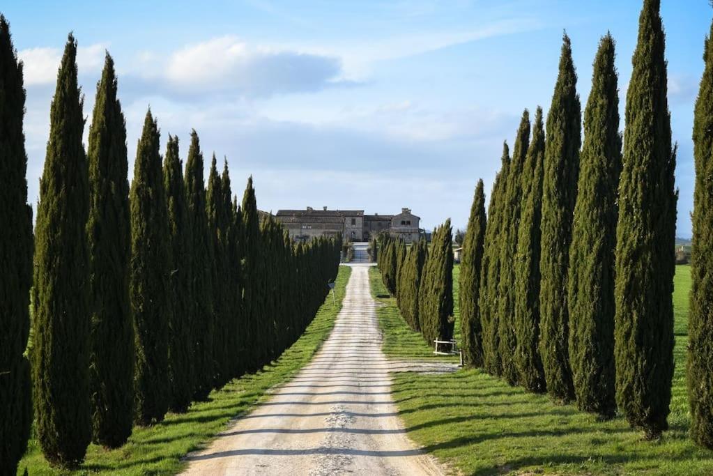 Cozy Home In Countryside Asciano Siena -Renovated! Extérieur photo